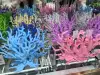 Creative handicrafts of sea snails, shells and corals, Marine scented candles, large wind chimes and fruit shell pendants full image